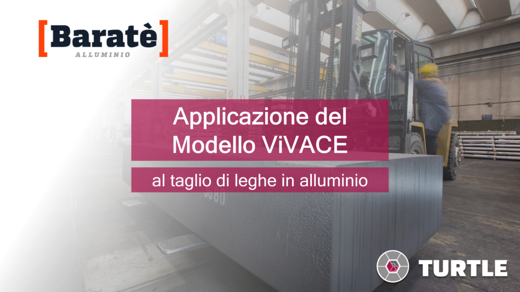 Implementazione del modello ViVACE - Baratè S.p.a. Alluminio