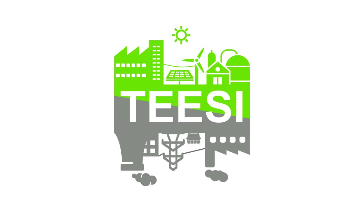 Progetto TEESI