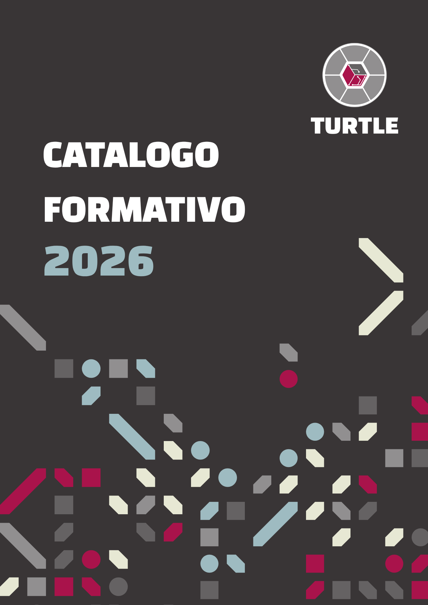 Turtle Formazione