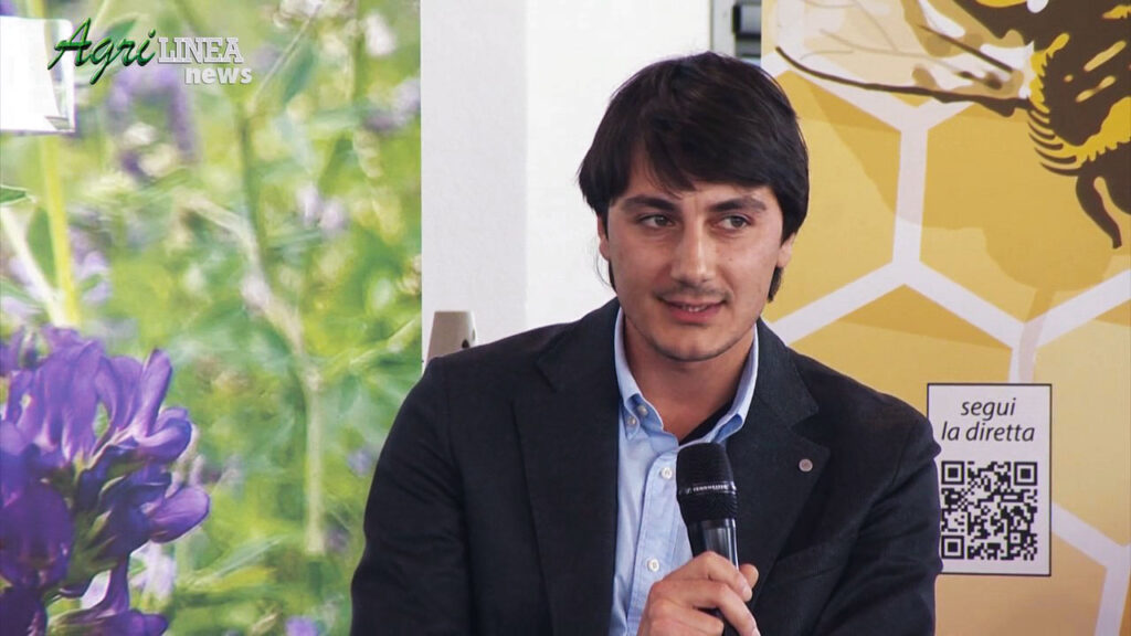La quantificazione della sostenibilità nella filiera dei foraggi essiccati [Talk]